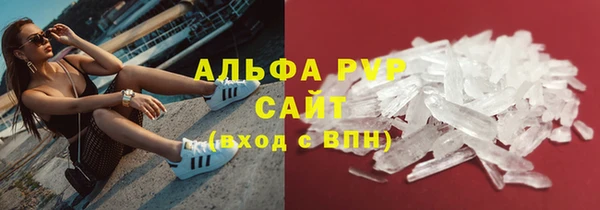 стаф Баксан